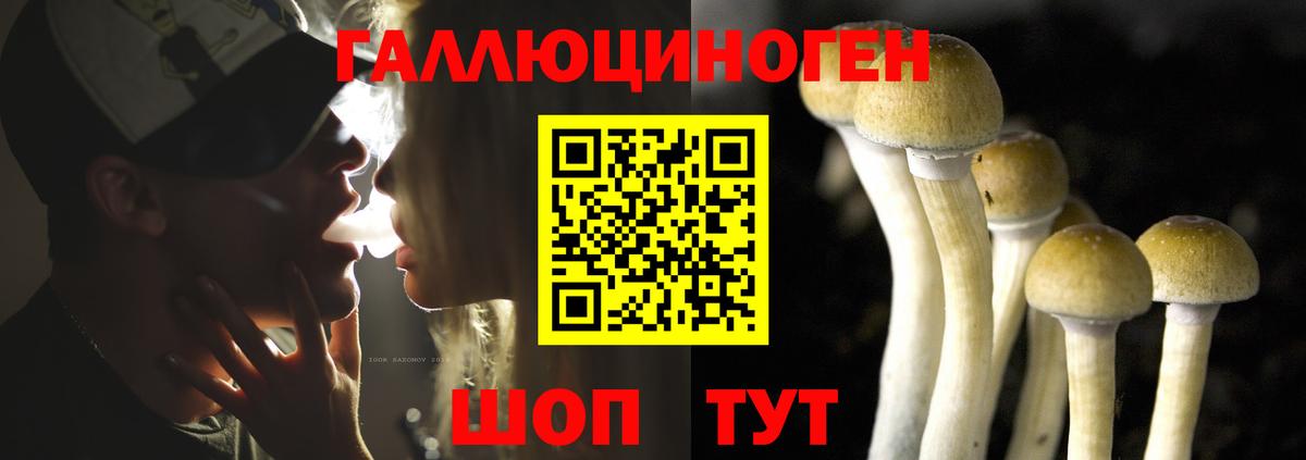 Псилоцибиновые грибы Psilocybine cubensis  где можно купить наркотик  Кизилюрт  Псилоцибиновые грибы Psilocybe  Вход с VPN 
