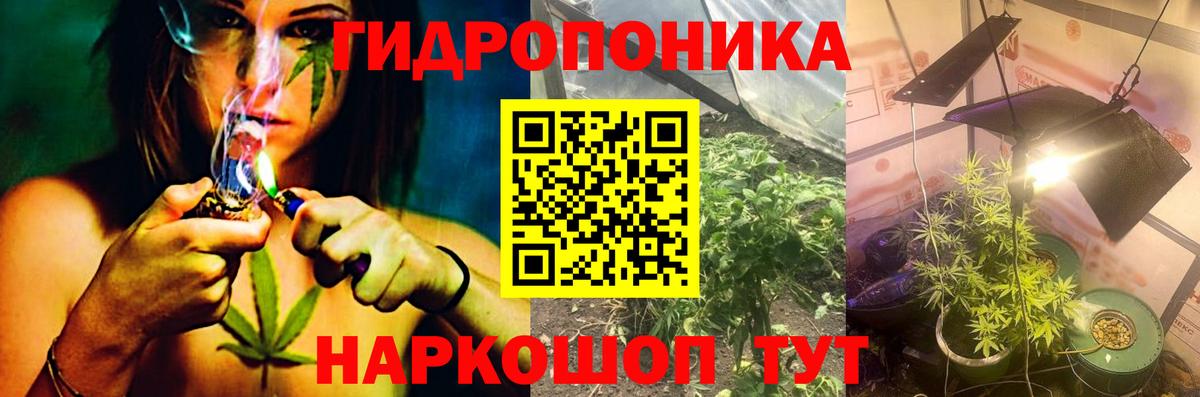 МАРИХУАНА конопля Кизилюрт